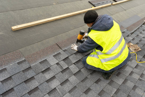 Best Roof Gutter Cleaning  in Ludowici, GA