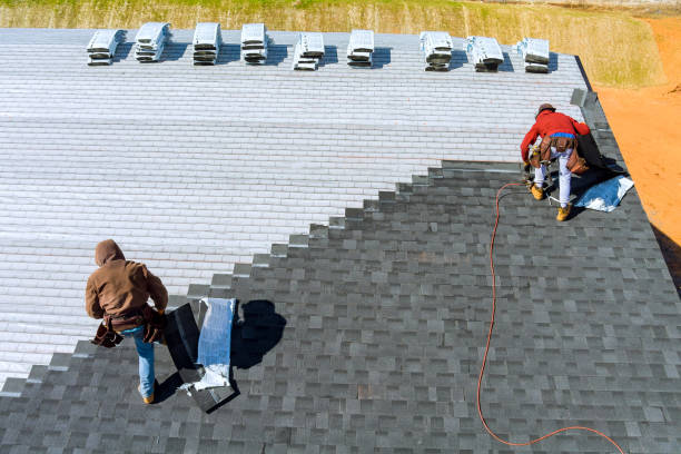 Best Roof Maintenance Services  in Ludowici, GA