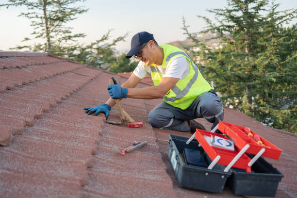 Best Storm Damage Roof Repair  in Ludowici, GA