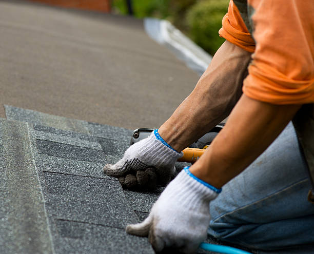 Best Metal Roofing Contractor  in Ludowici, GA