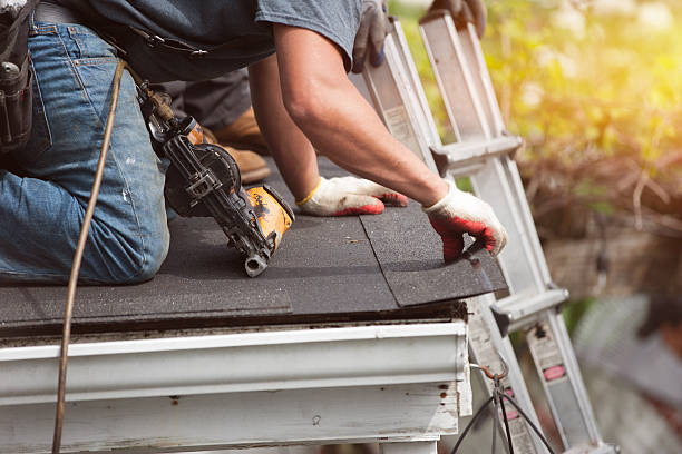 Best Roof Waterproofing Services  in Ludowici, GA