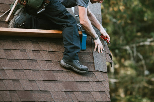 Best Roof Replacement Cost  in Ludowici, GA