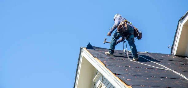 Best Gutter Installation and Roofing  in Ludowici, GA